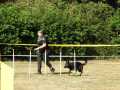 IMG-20200920-WA0012